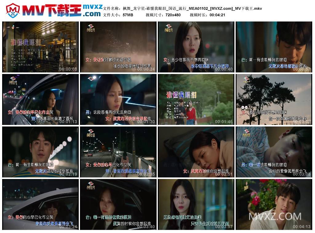枫舞_龙宇星-谁懂我眼泪_国语_流行_MEA01102